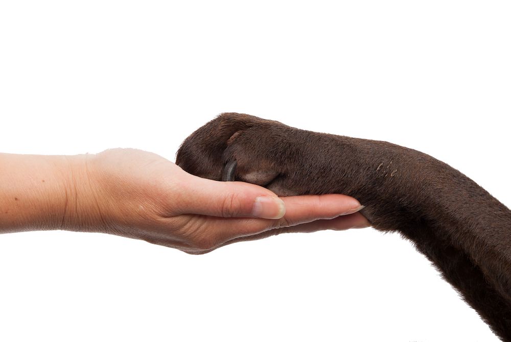 Question of the Week